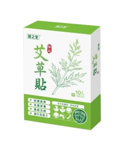 健之堂 - 強效艾草貼10片